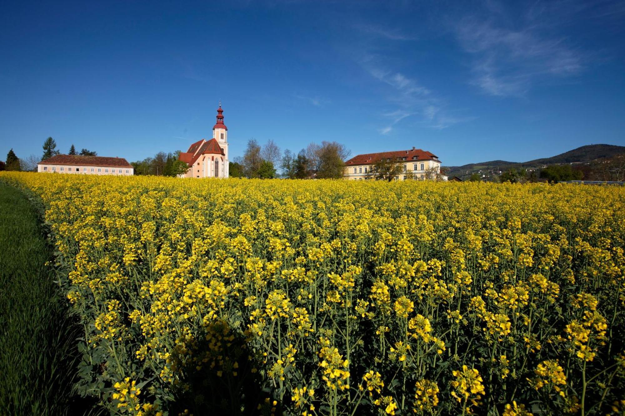 Gasthof Pack "Zur Lebing Au" Hartberg Extérieur photo
